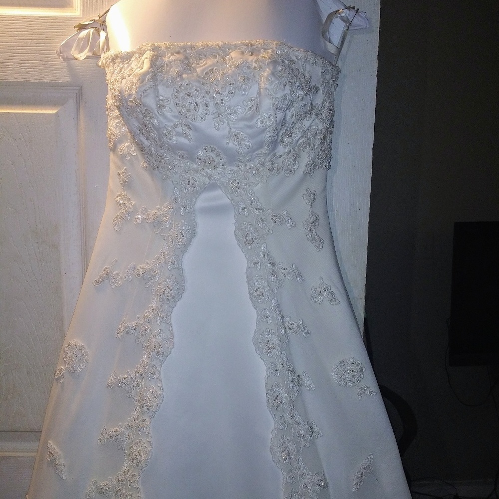 David Bridal wedding Dress E8475 Michelangelo